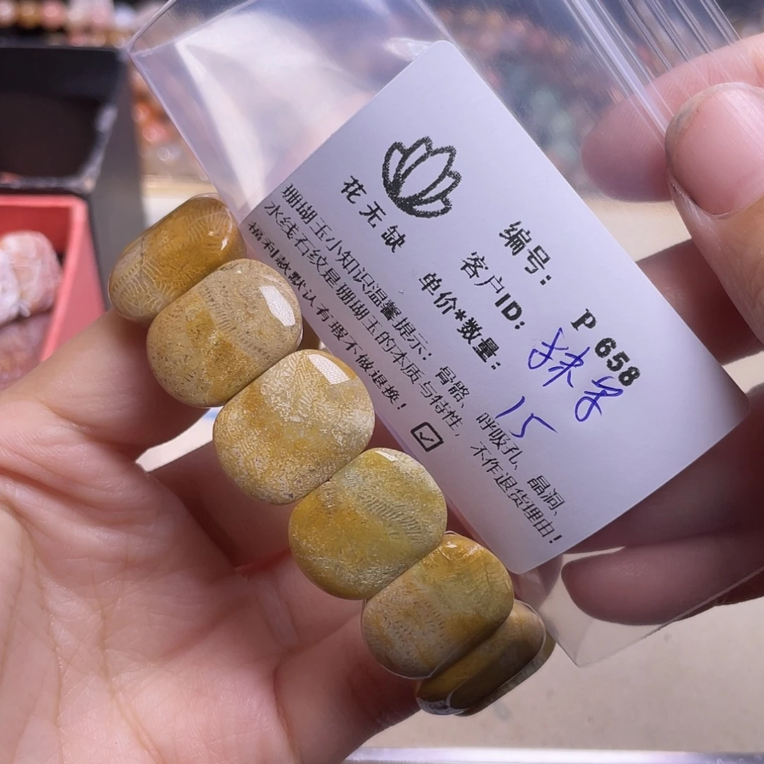 抹***仙未镶嵌手镯硅化玉