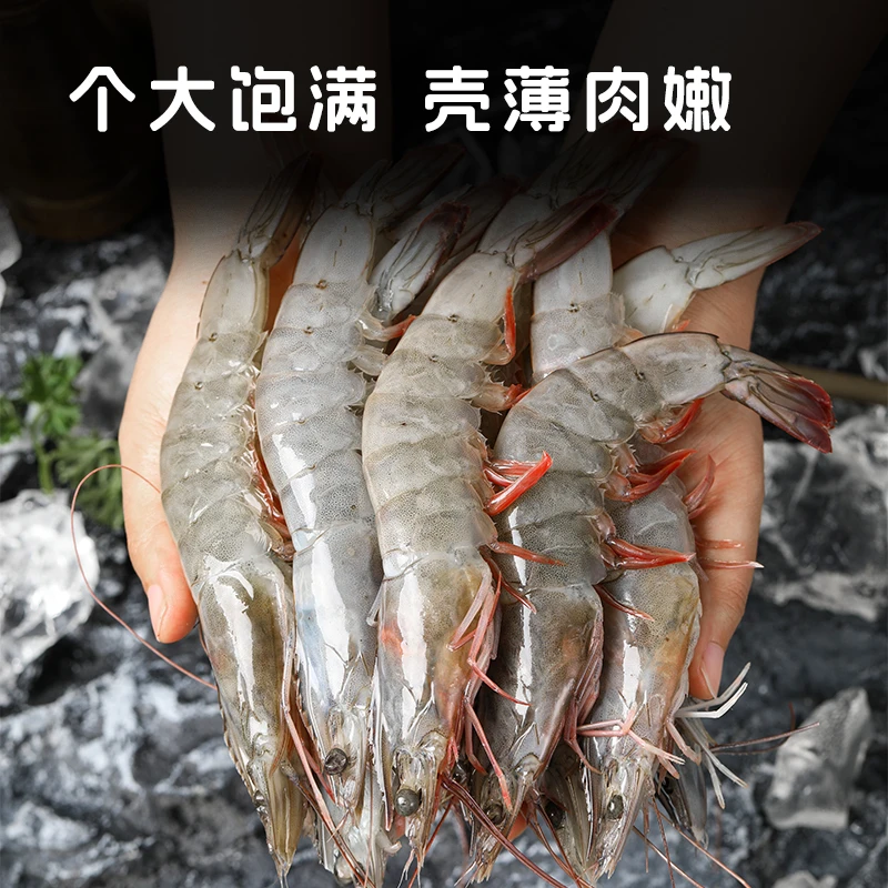 四斤20-30海水大虾3斤送1斤试吃急冻锁鲜发货 1斤10-15只左右顺丰