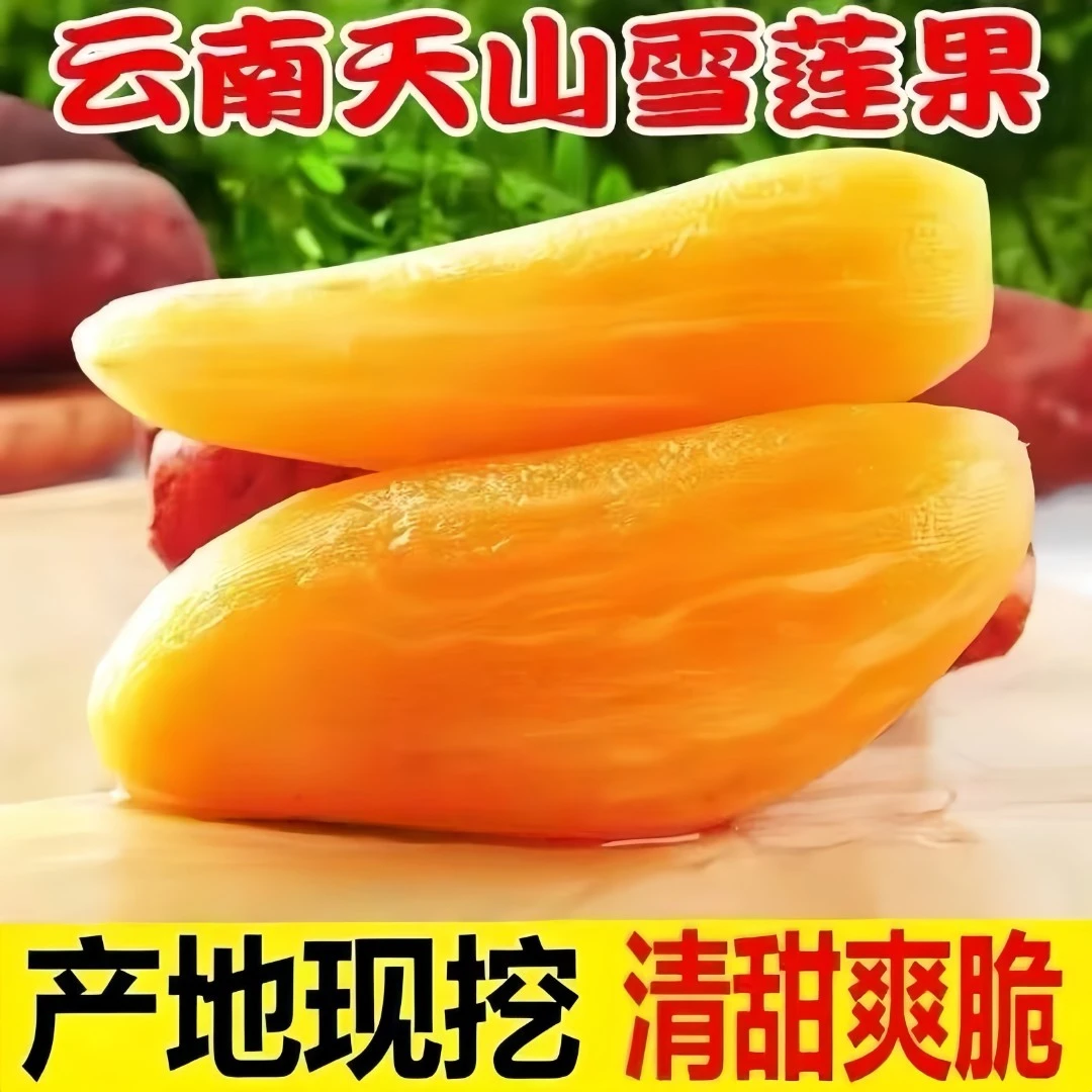 云南天山雪莲果新鲜应季水果清甜脆爽多汁正宗产地直发现挖现发