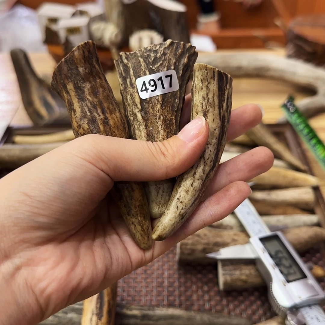 手串/手链鹿骨4917角尖三个