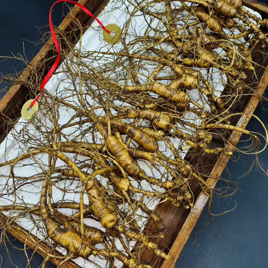 长白山新鲜老山参（煲汤泡酒煮水）直播截图为准