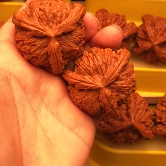 清***鈃核桃核桃核桃核桃