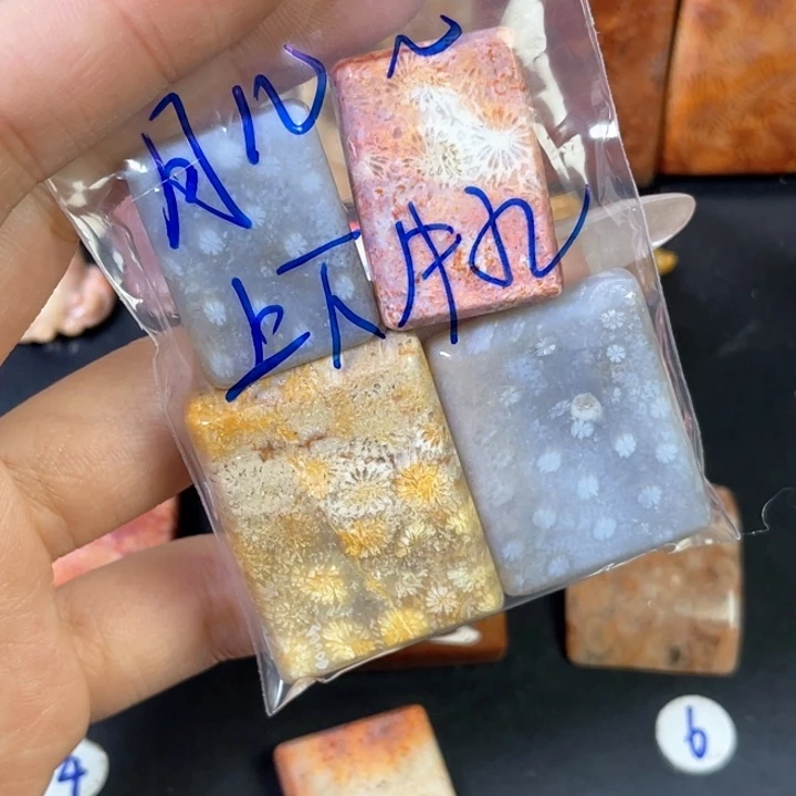 硅化珊瑚（珊瑚玉）珠宝金石合金月****?