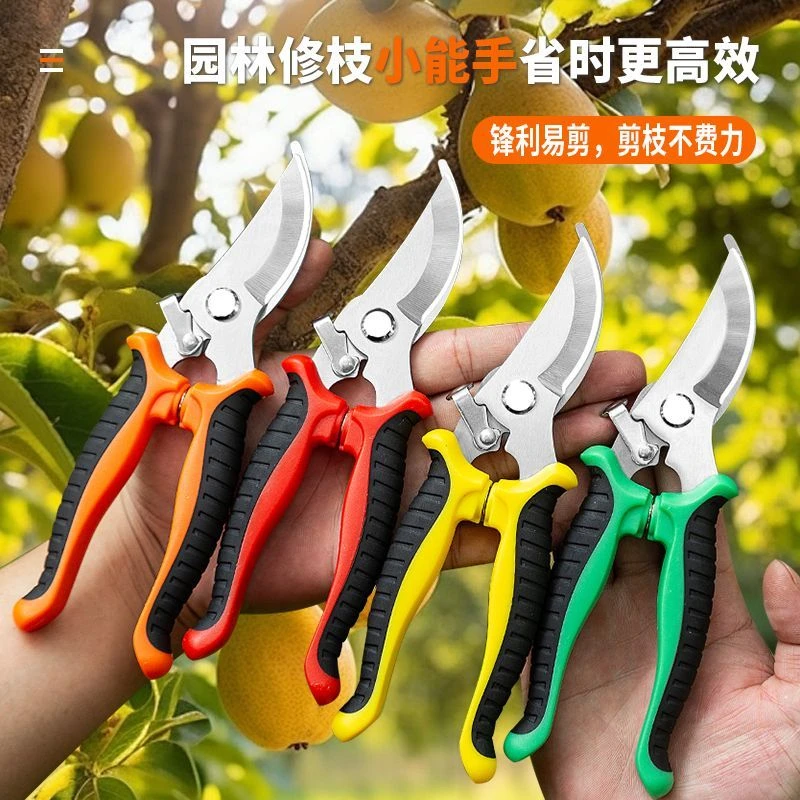 超强园艺剪刀修枝剪省力修剪树枝果树竹签园林花卉专用花艺剪子TL