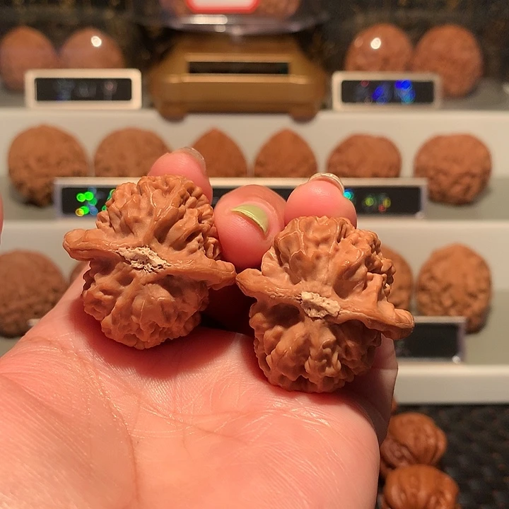 文玩核桃把件红莲