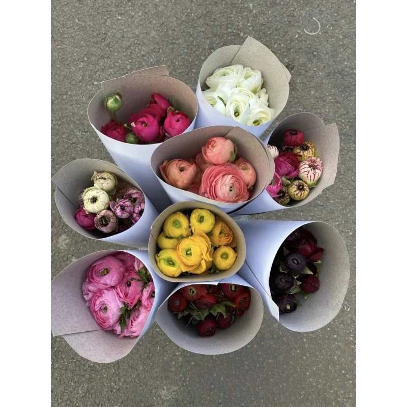 其他【洋牡丹】（任意三件包邮）未拍保温棉，冻伤不售后