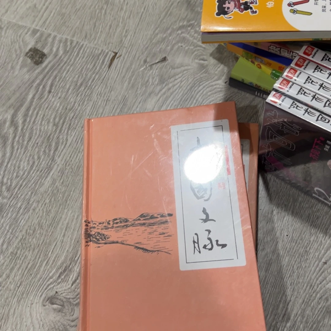 ****风中国文脉八米一个