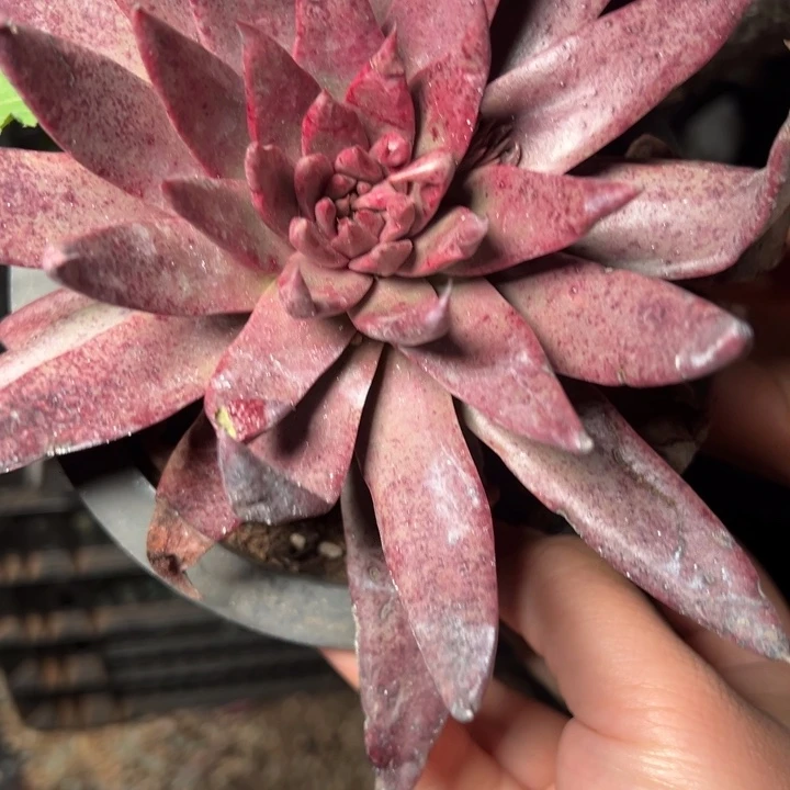 289哈哈哈哈哈哈哈哈