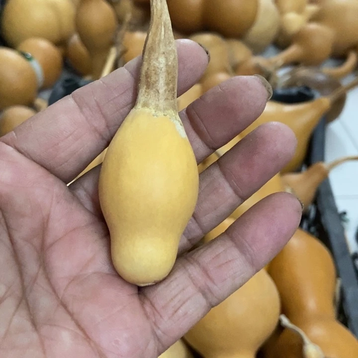 有*啊dhhjjjjedffwe