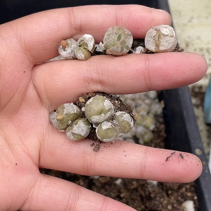 106那里今天休息一下