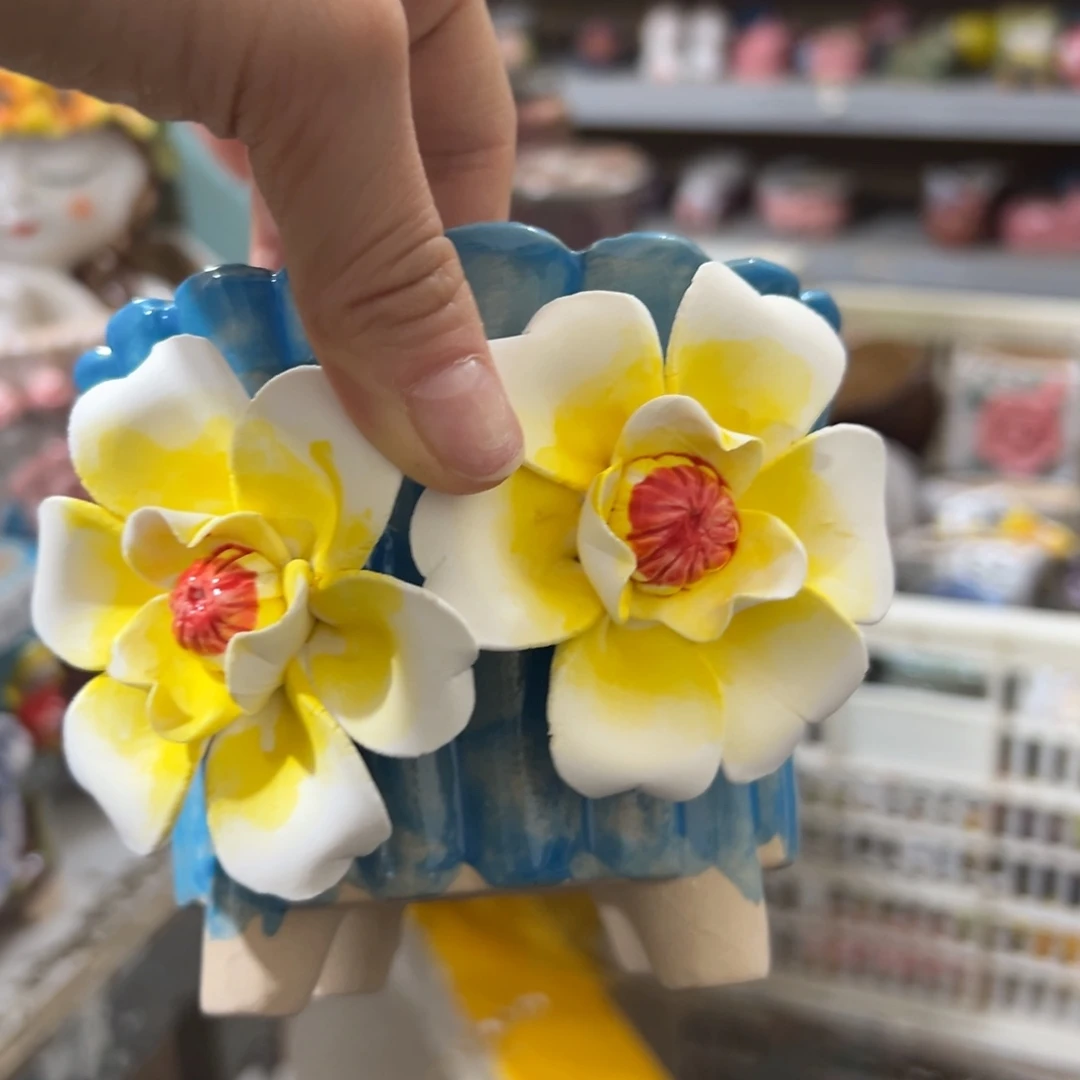 满20米秒退拉黑花盆