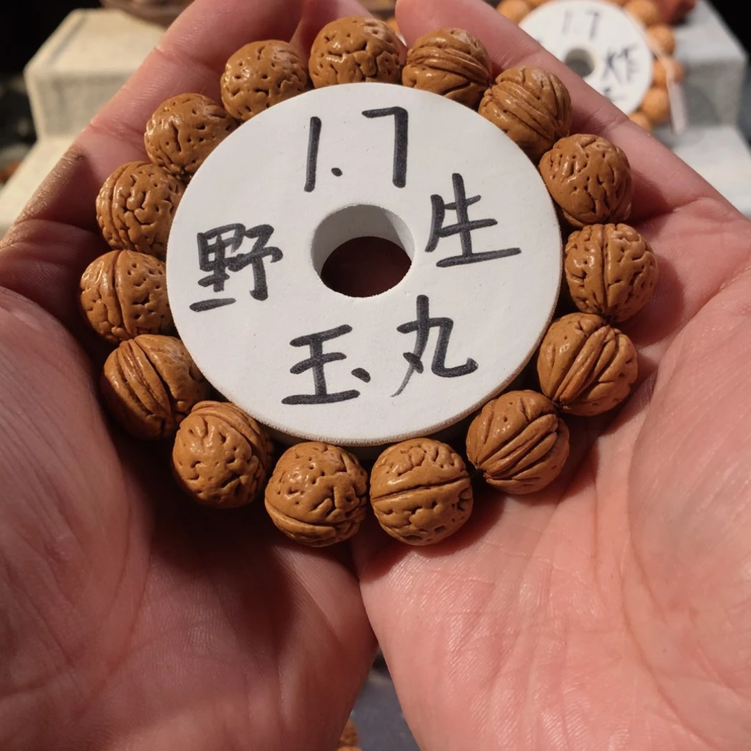 桃核手串没****！17野生玉丸桃核无修无抛桃核