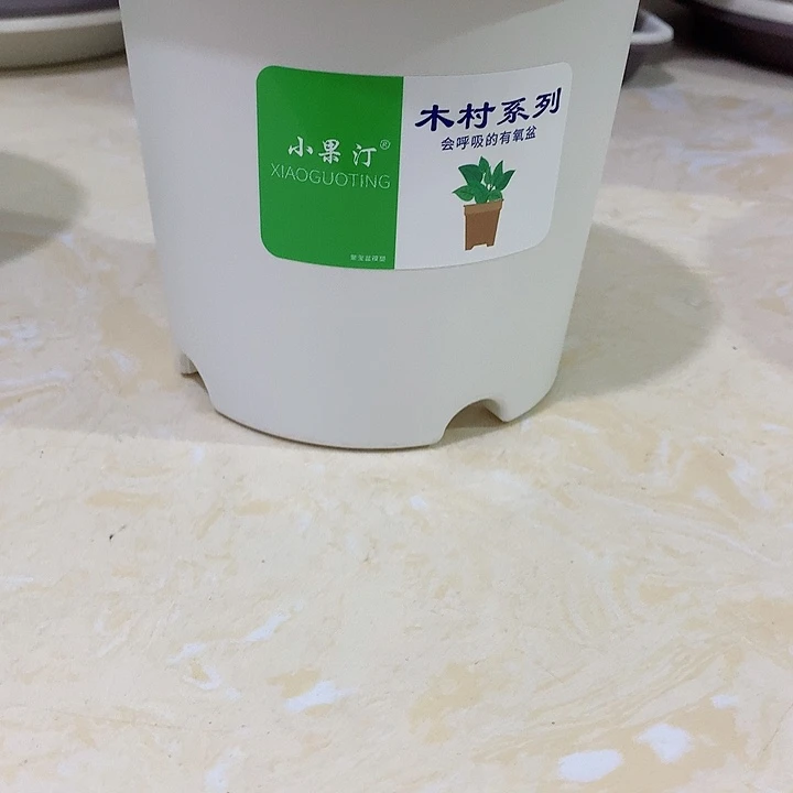 小果汀15口白10个无托