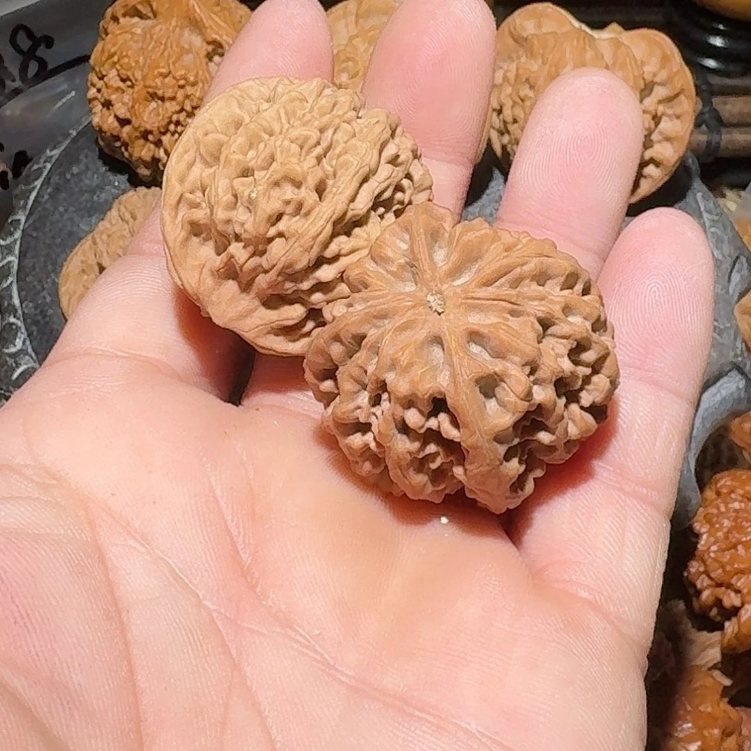 核桃亲闷34尺，有黄