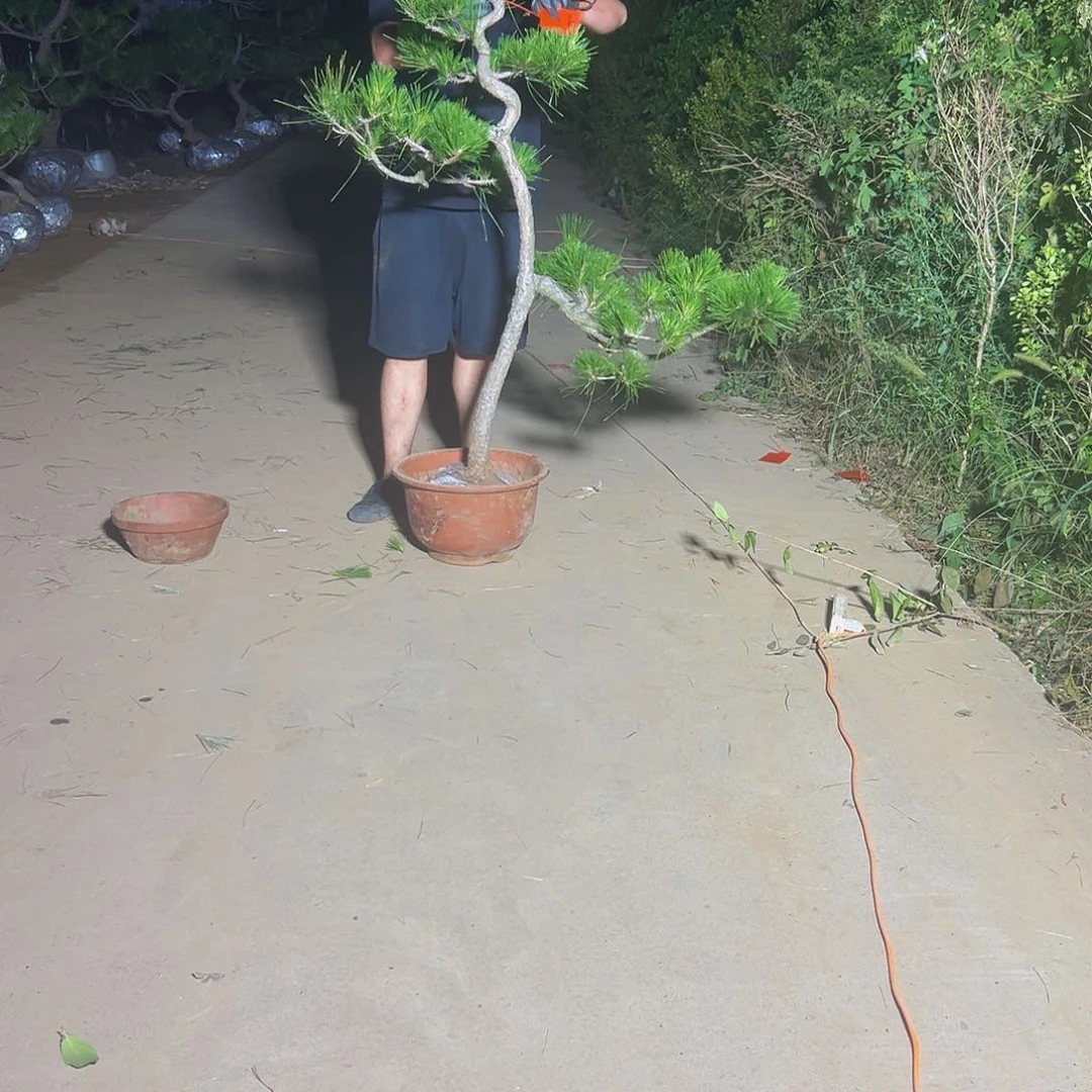 无花朵S****N888888888888888