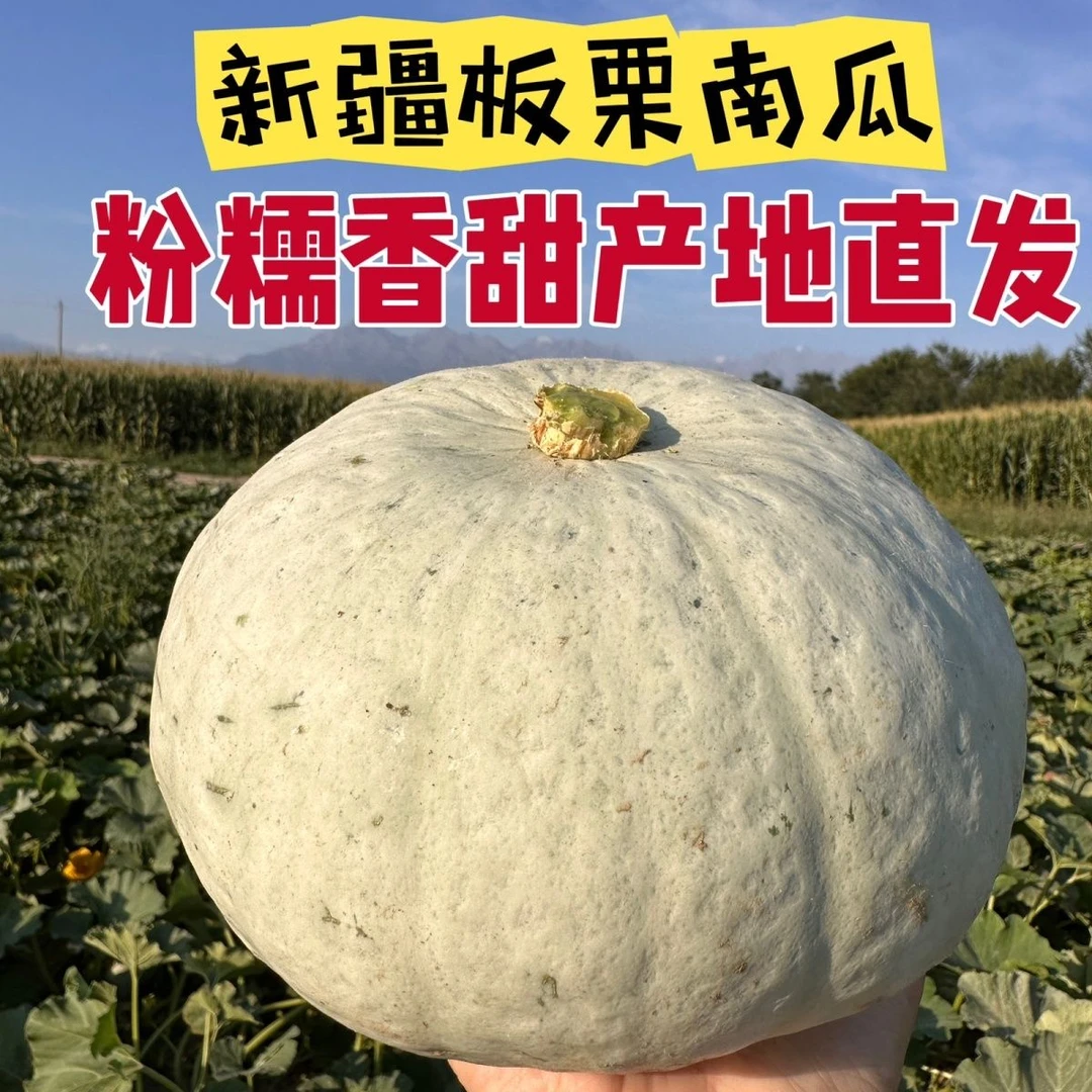 【新疆直发】新疆银板栗南瓜粉糯香甜有板栗味适合宝宝辅食