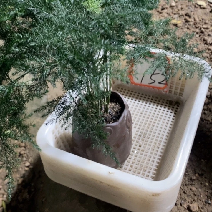 燕****以实际为准退款拉黑拉黑 152