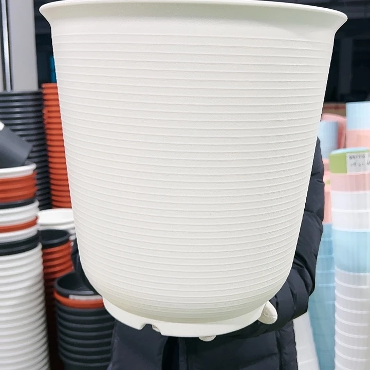 正品高陶口30高30白色无托5个