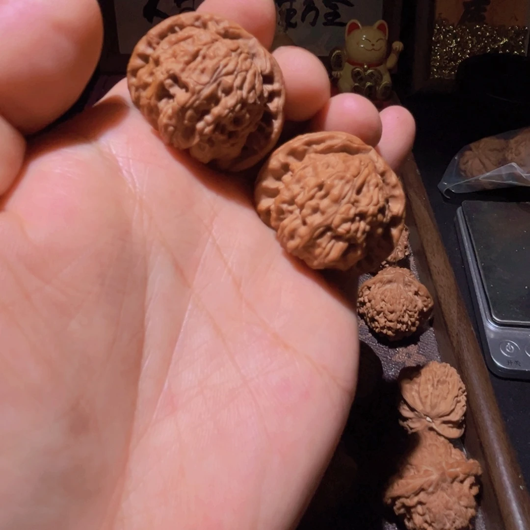 瑞麟文玩核桃白狮子 34.5.37.39