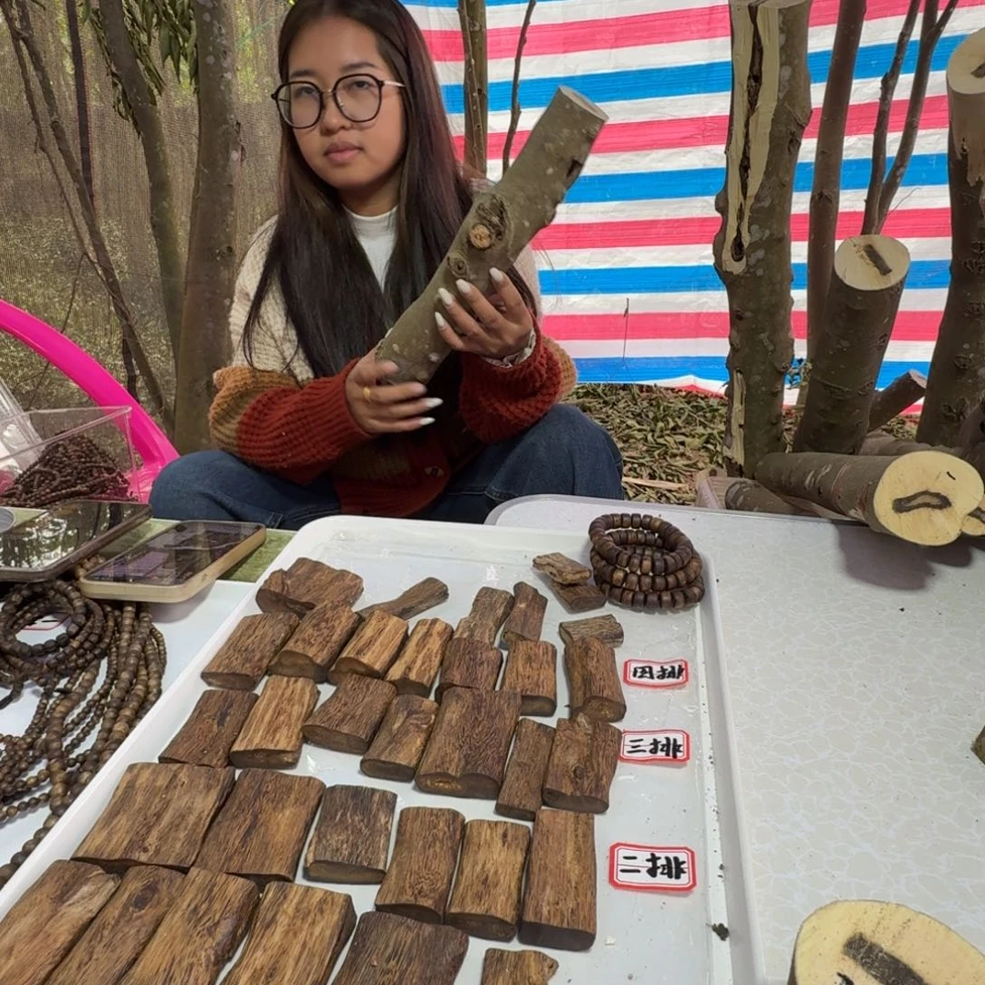 马***嘎线香奇楠沉香原木