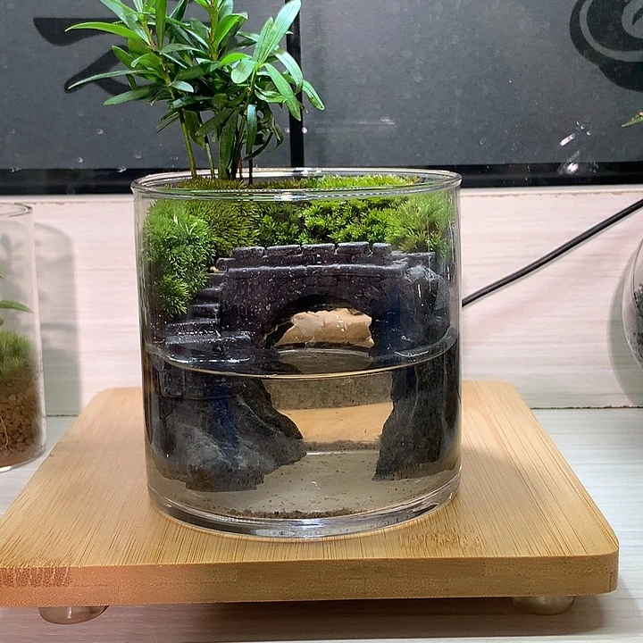 无花朵江南水乡款微景观