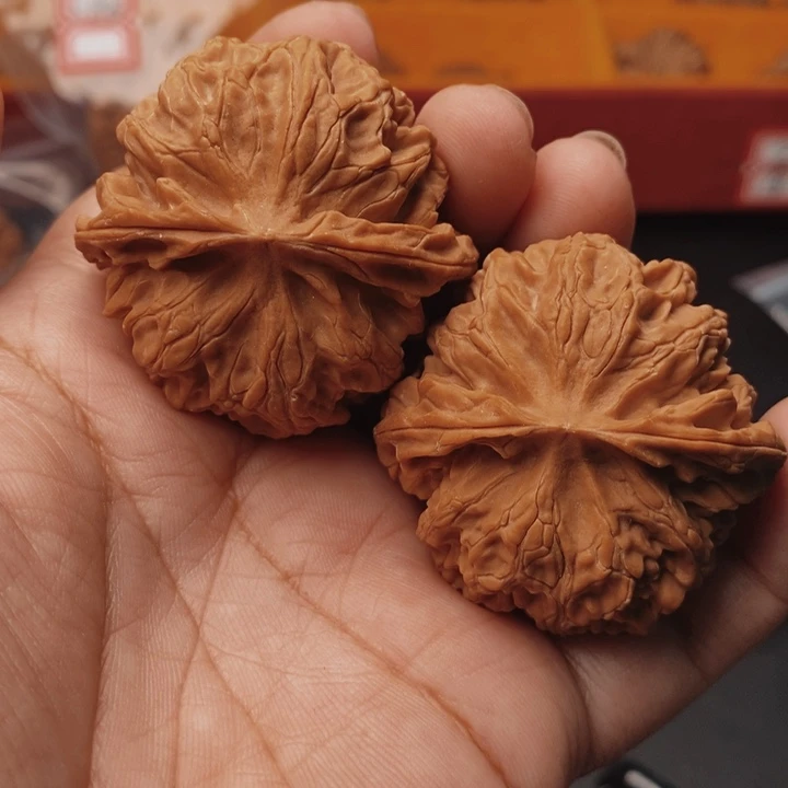 核桃苹果44尺核桃