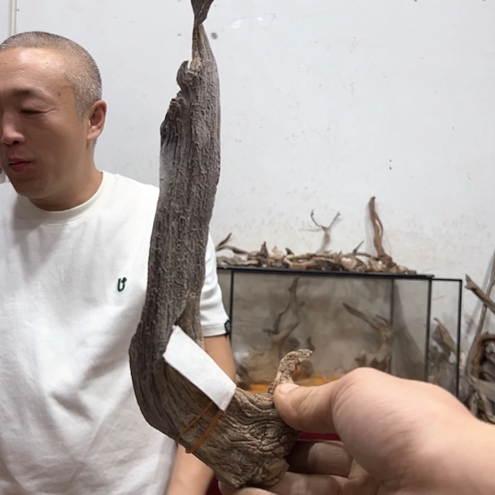 柏木木****馆我们的生活也是如此的丰富