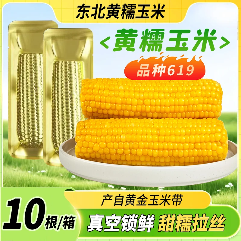 【25年头茬】黄糯玉米单根260克-300克整箱10根/2根试吃