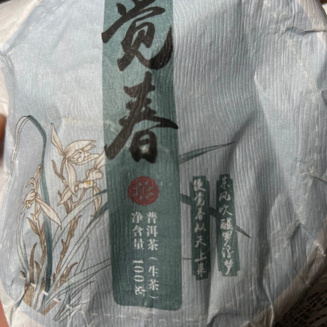 2024年觉春100克春茶 刀发雷  直播2025.1.17（返场款）