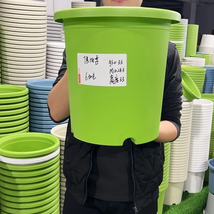 特价7号口33高33白色6只无托