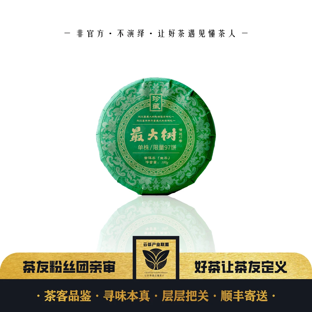 【懂过43号】懂过单株 2025年单株头春普洱茶生茶100克饼茶