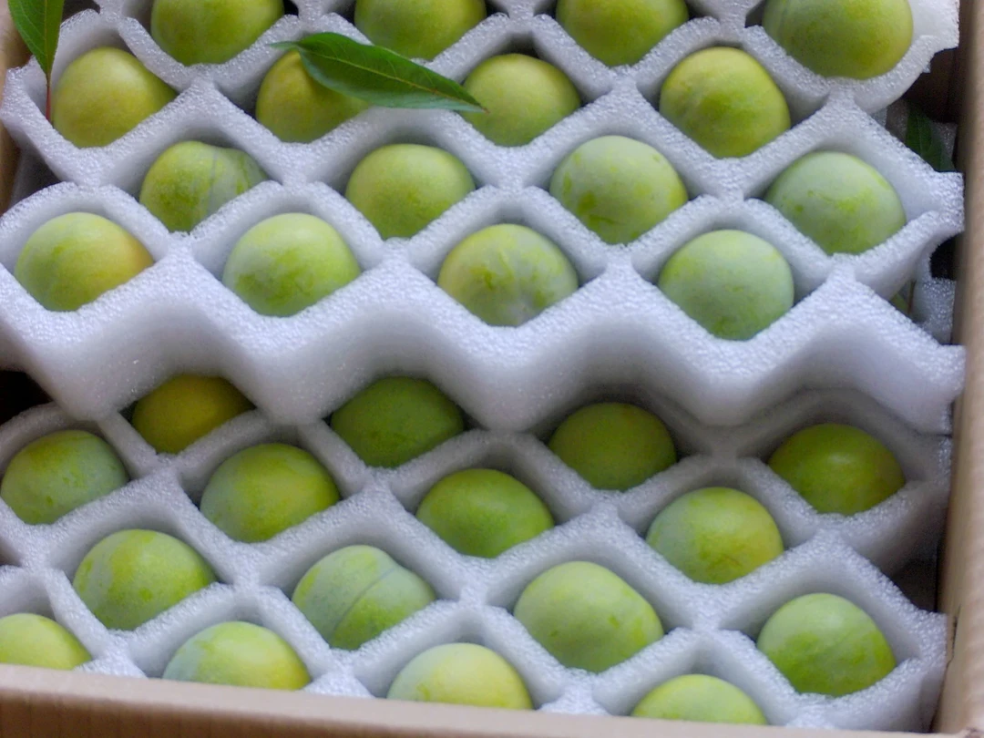 精品礼盒装青脆李乡野兰姐推荐