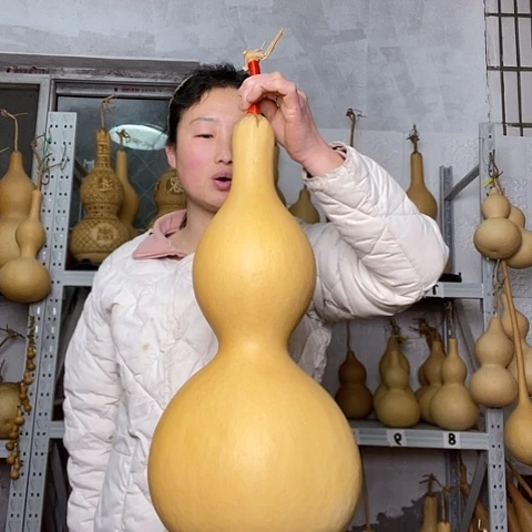 天然植物葫芦文玩