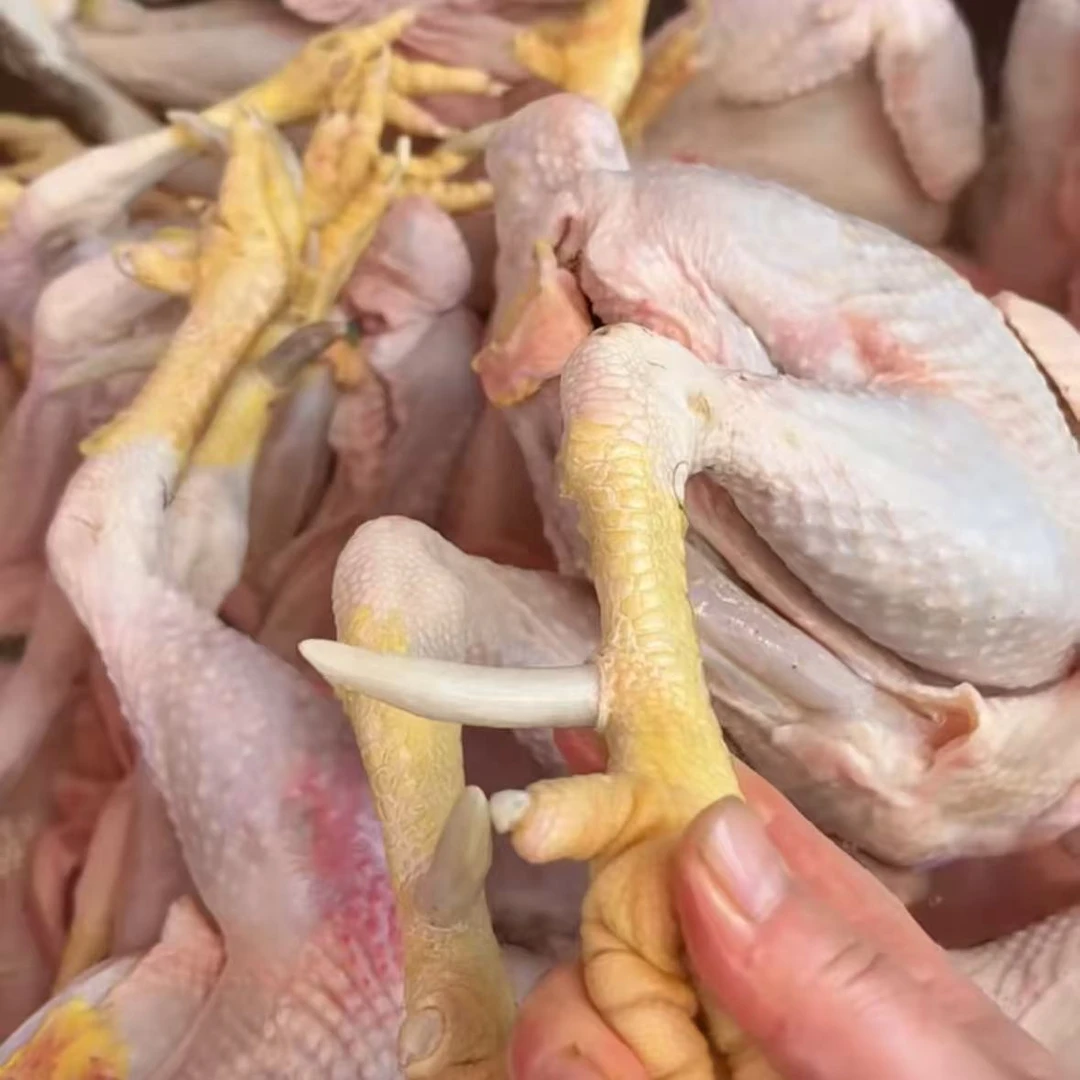 【顺丰】农家老公鸡带大蹬爪整只净膛不砍不剁饭店专用