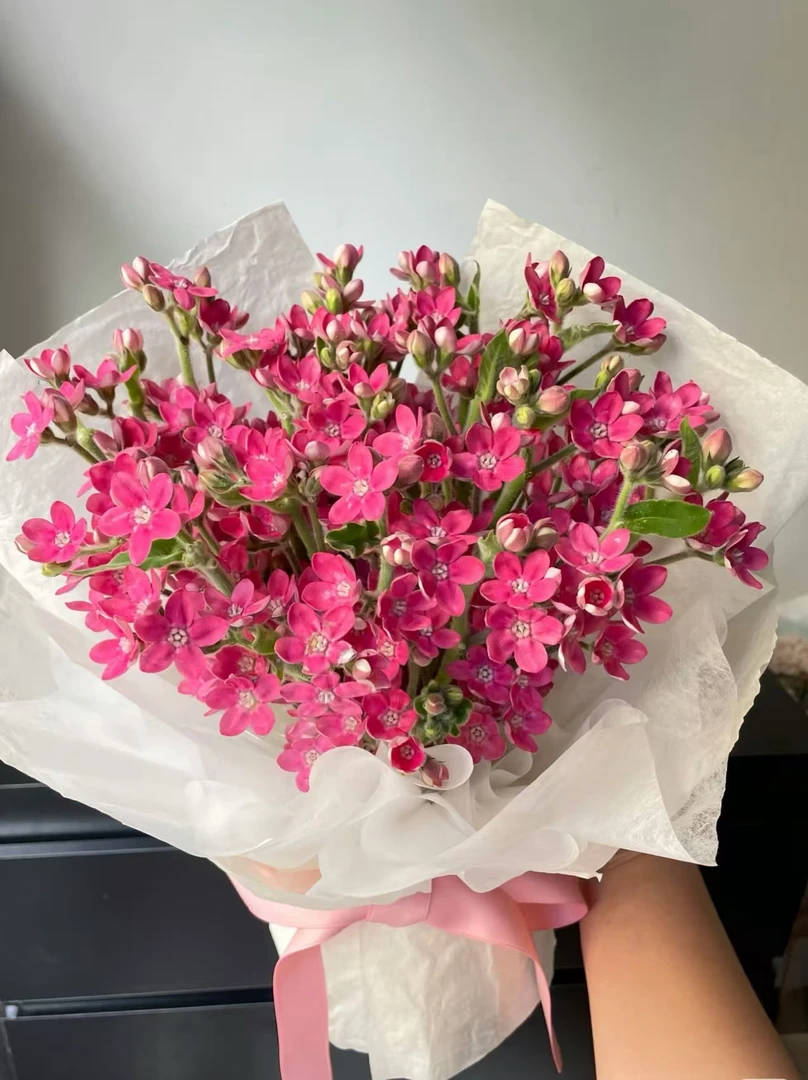 【粉星花】云南鲜花 基地直发 全店任意鲜花顺丰包邮
