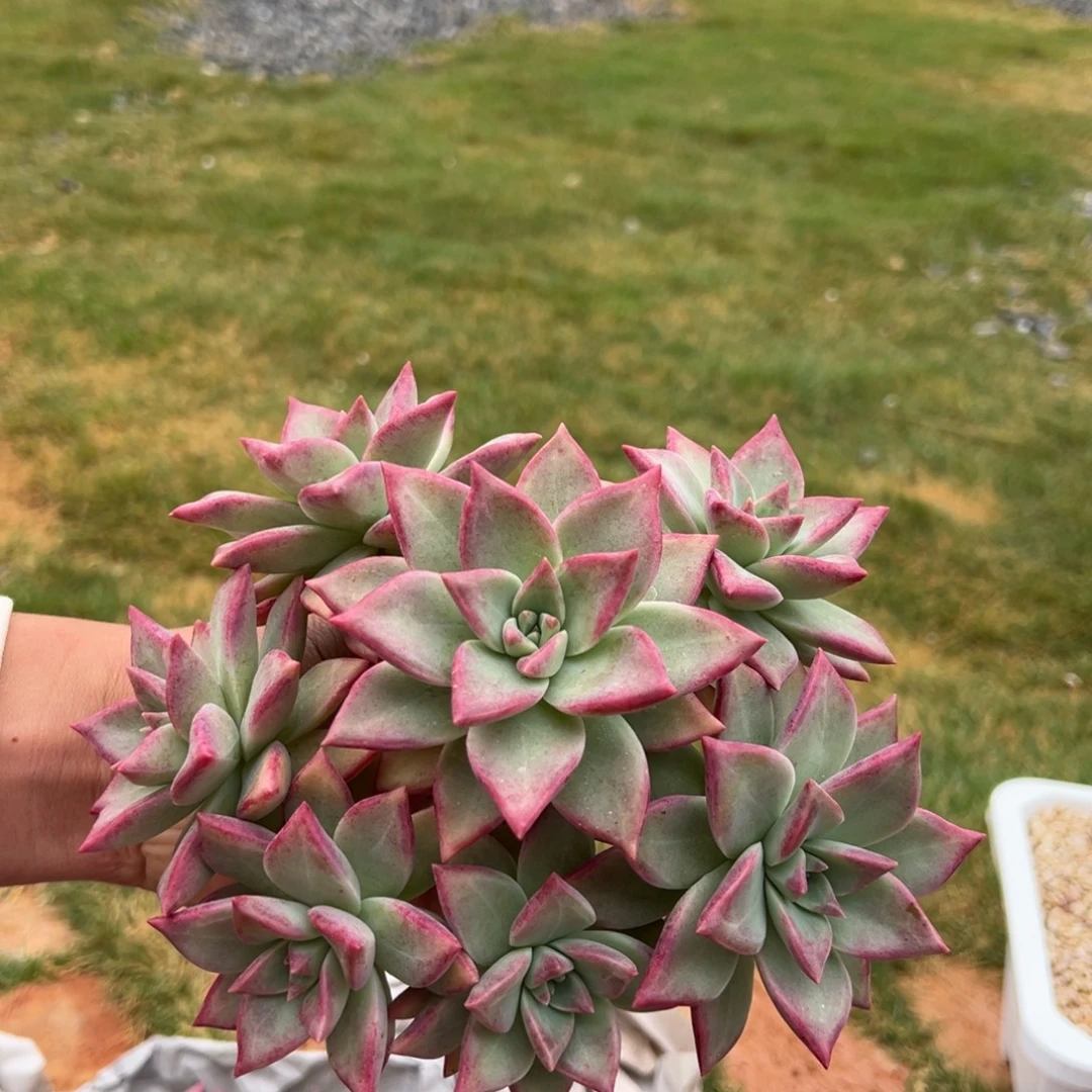 111811111111111111111111