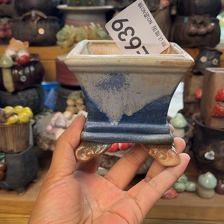 ?***龟要不要尝尝呢、你639