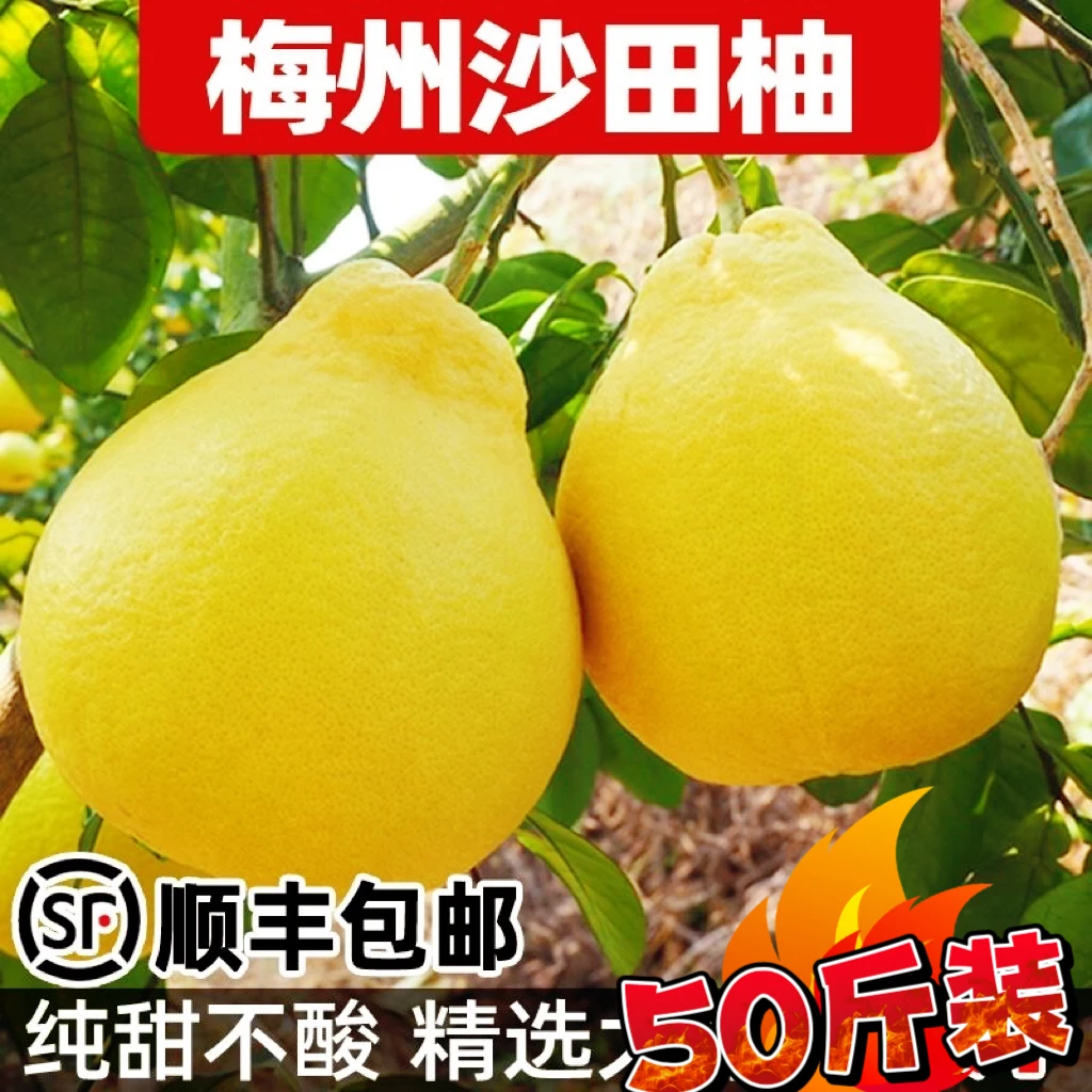 【顺丰包邮】正宗梅州沙田柚白心纯甜柚子梅州金柚当季新鲜水果批发