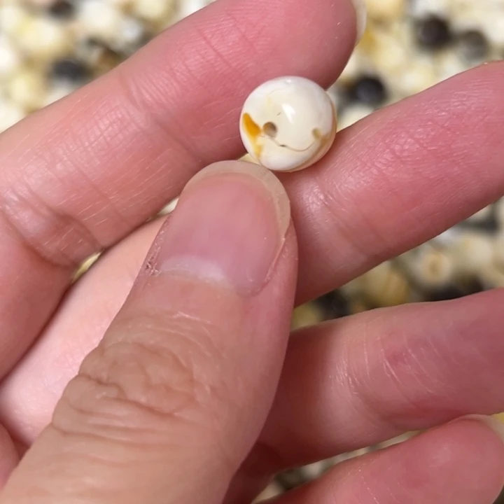 蜜蜡未镶嵌裸石9.7mm一个