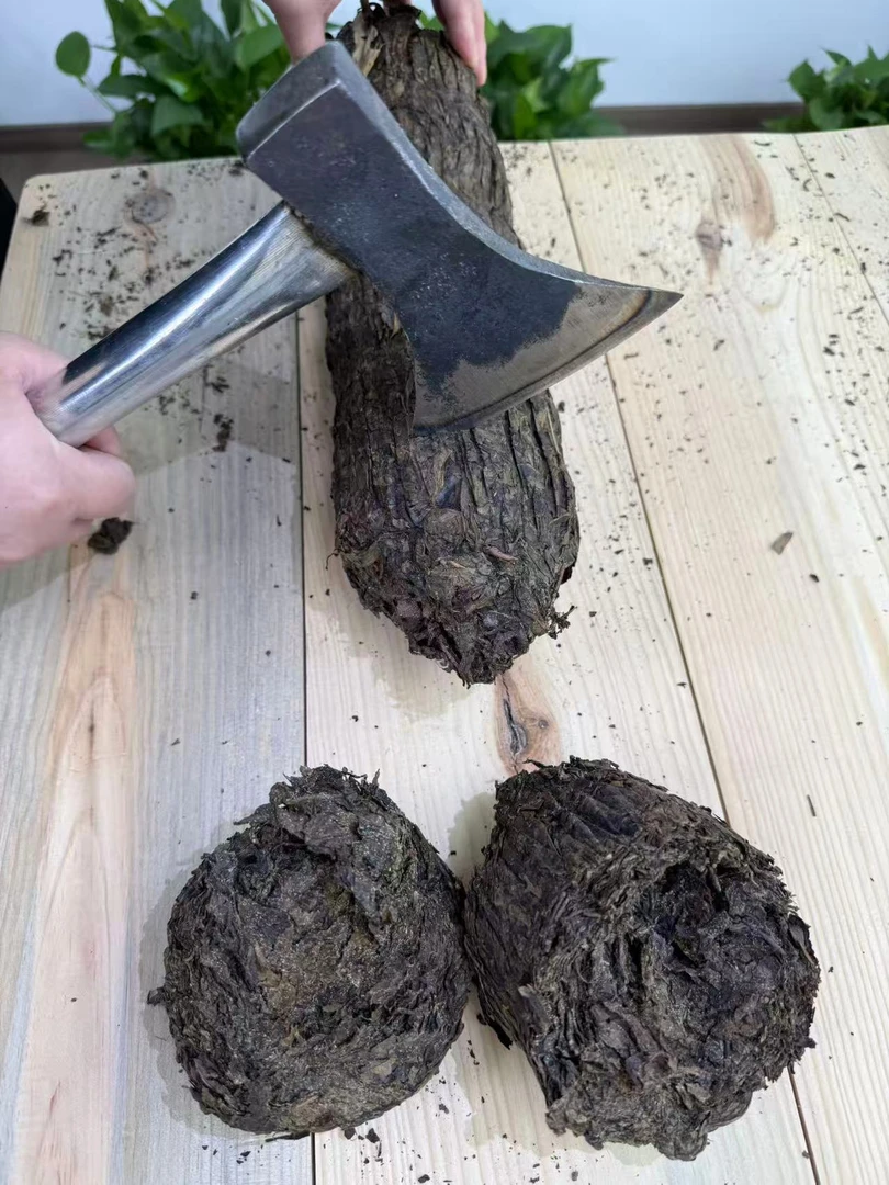 安化荒野百两茶2015年    花卷茶