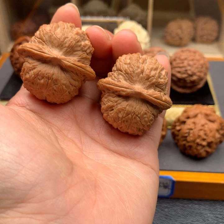 文玩核桃吊坠血麒麟