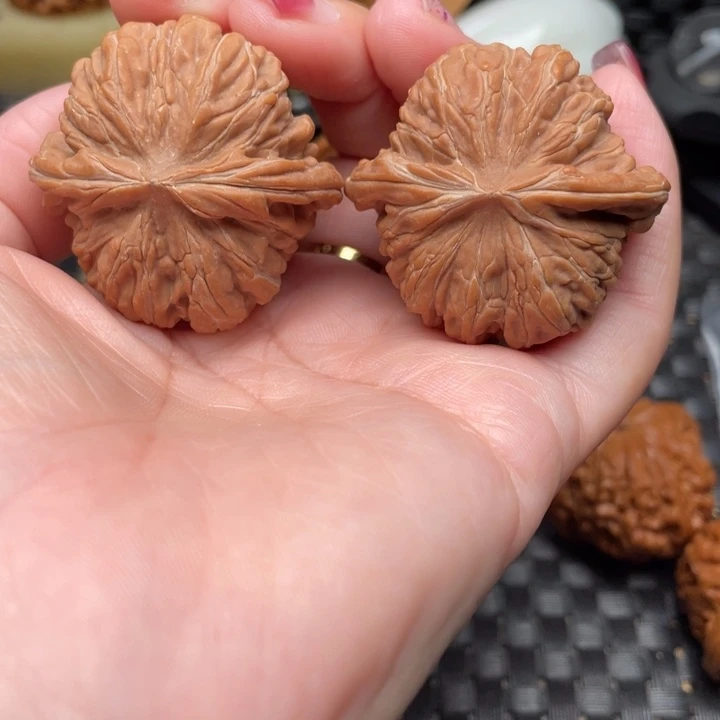 40尺精品打底发货