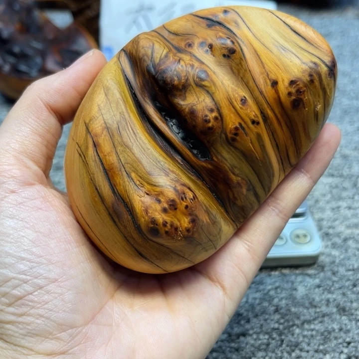 柏木（崖柏）崖柏100