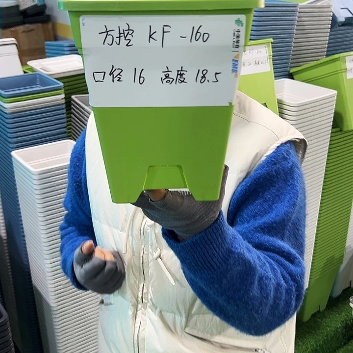 正品方盆口16高18果绿无托5只