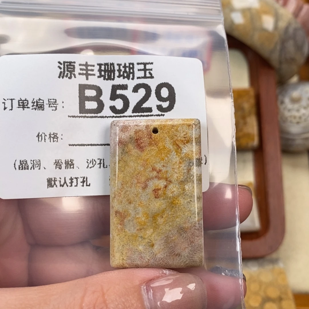 硅化玉颈饰未镶嵌C*•