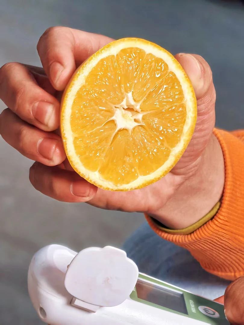 赣南脐橙核心产区秋冬水果爆品尝鲜首发