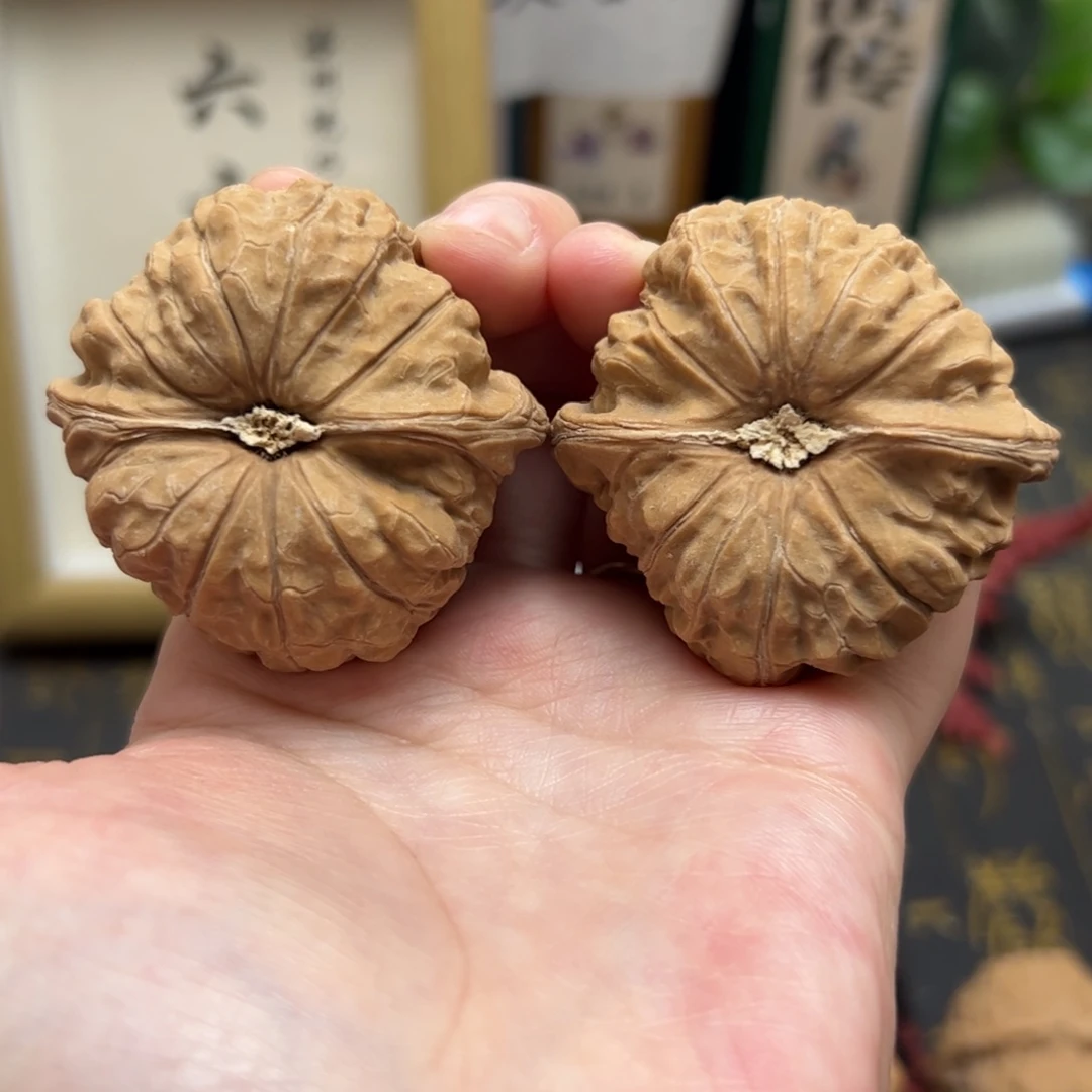 文玩核桃把件47南瓜墩全品