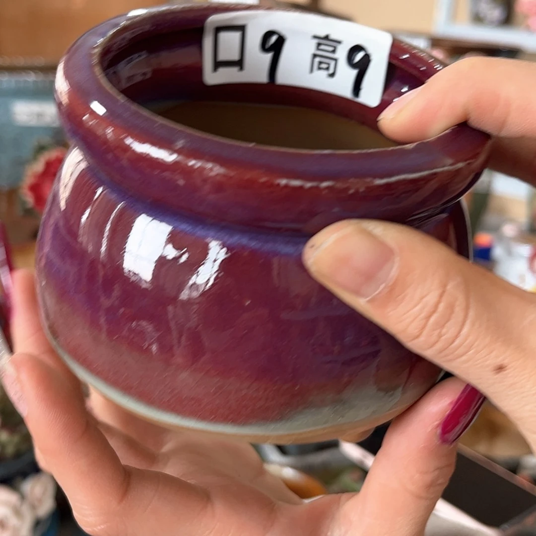 【闪购商品】红陶福利