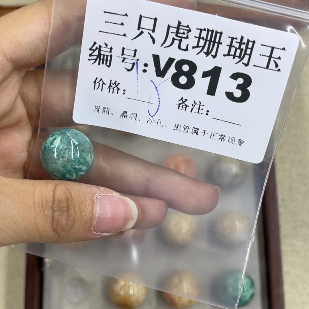 j***d硅化珊瑚（珊瑚玉）h未镶嵌