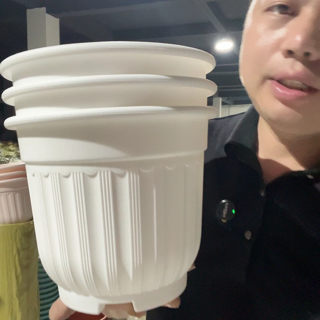 罗马210白3个无托盘